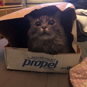 Meet your Posher, Beth